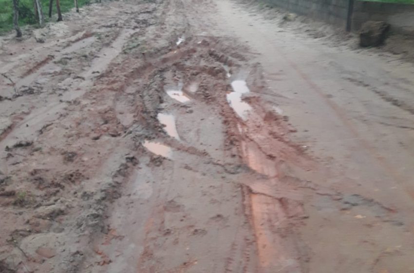 Chuvas danificam estradas vicinais em Estrela de Alagoas