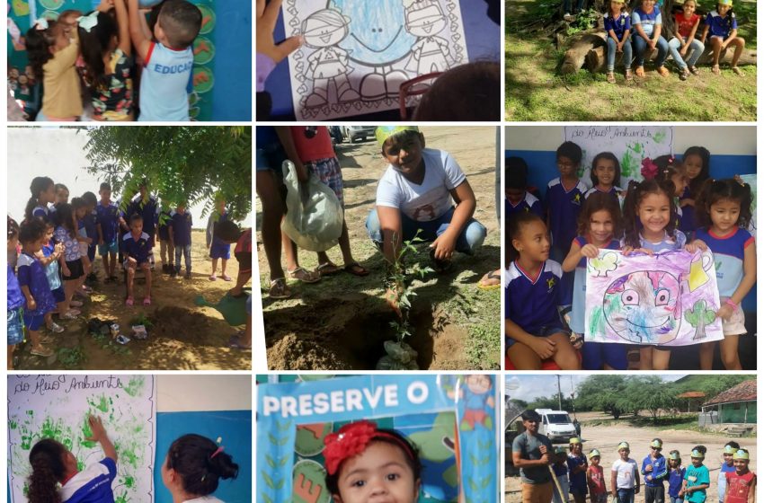 Escolas Municipais promovem atividades sobre o Dia do Meio Ambiente