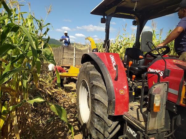 Prefeitura de Estrela de Alagoas apoia agricultores