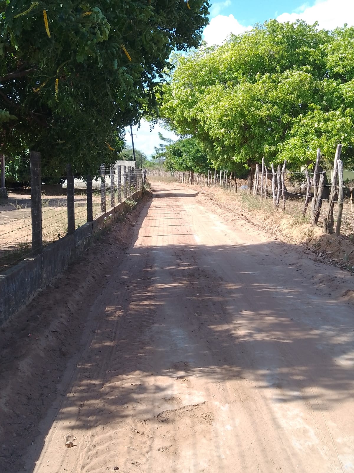 Secretaria de Urbanismo recupera Estradas Vicinais em Estrela de Alagoas