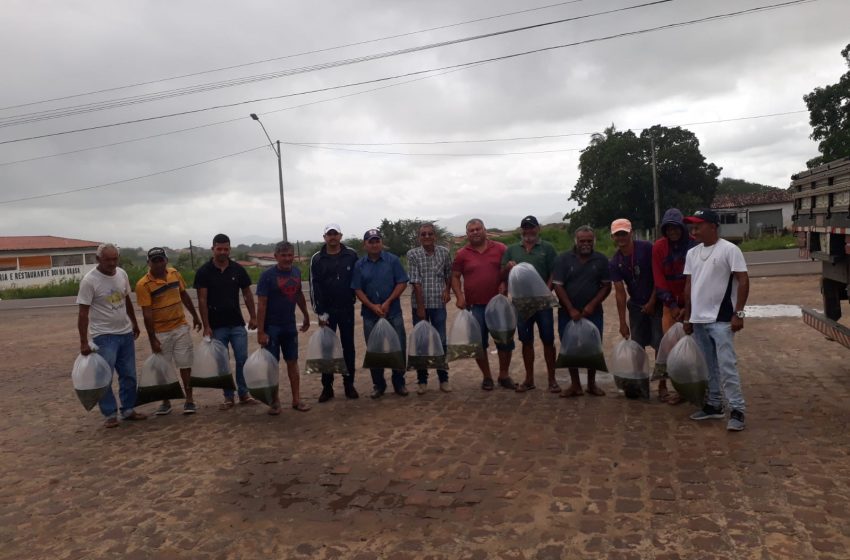  DNOCS entrega mais 70 mil alevinos para Estrela de Alagoas