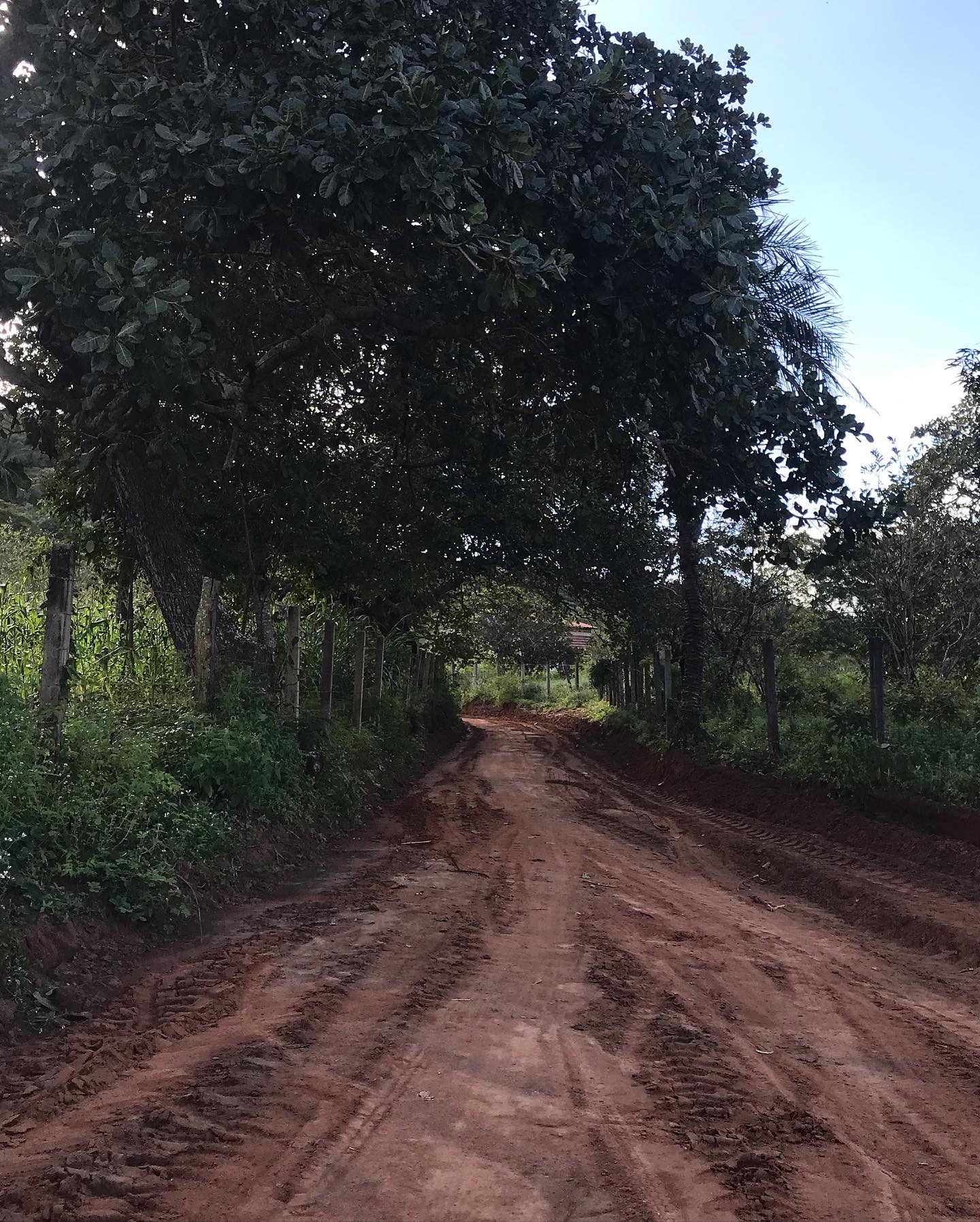 Prefeitura recupera Estradas Vicinais no Povoado Barriguda