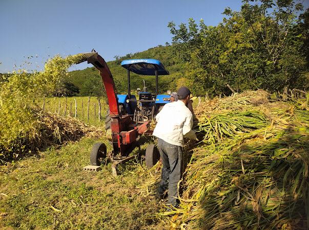 Prefeitura de Estrela de Alagoas apoia agricultores