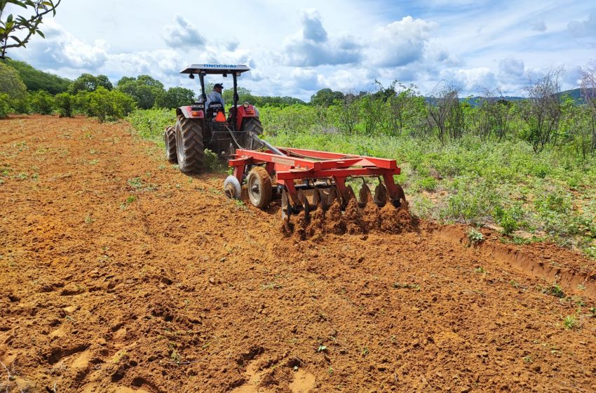  Aração de terras beneficia agricultores estrelenses