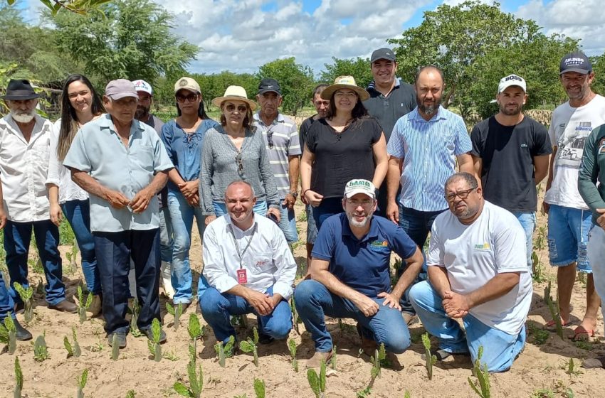  Secretaria de Agricultura de Estrela apoia evento sobre Palma Forrageira